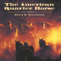 The American Quarter Horse