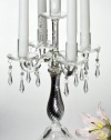 5 LIGHT CRYSTAL CANDELABRA W SILVER SWIRL STEM - candelabra