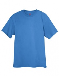 Hanes 5250 100% Cotton Comfort Tee