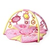 Bright Starts Pink Pretty in Pink Supreme Play Gym