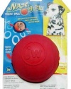 JW Pet Company Treat Puzzler Dog Toy, Large (Colors Vary)