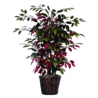 Bushes 48 Artificial Potted Natural Capensia Tree in Green and Red