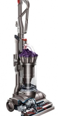 Dyson DC28 Animal