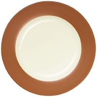 Noritake Colorwave Rim Salad/Dessert Plate, Terra Cotta