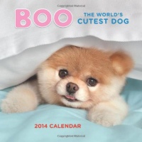 Boo 2014 Wall Calendar