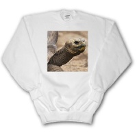 Galapagos Islands, Ecuador. Giant tortoise - SA07 MDE0108 - Michael DeFreitas - Youth SweatShirt Large(14-16)