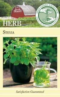 Seed Savers Exchange 0982 Open-pollinated Herb Seeds, Stevia, 50 Seed Packet