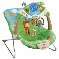 Fisher-Price Rainforest Bouncer