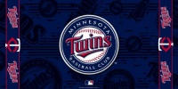 MLB Minnesota Twins Fiber Reactive Beach Towel