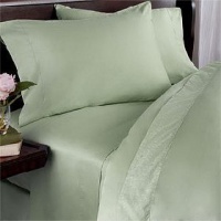 600 Thread Count Egyptian Cotton Sheet Set, Factory Pack 600TC, Olympic Queen , Sage Solid