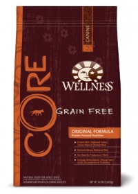 Wellness Grain-Free Dry Dog Food for Adult Dogs, CORE Original, 26-Pound Bag