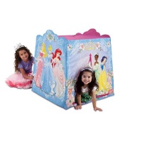 Disney Princess Hide N Play