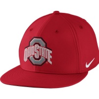 NCAA Nike Ohio State Buckeyes Performance Nike True Snapback Hat - Scarlet