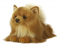 Miyoni Pomeranian Dog 11 by Aurora