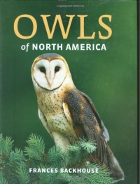 Owls of North America