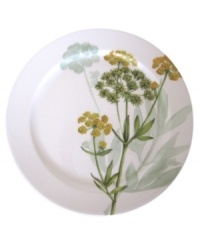 A natural for casual dining, the Althea Nova round platter by Villeroy & Boch features durable porcelain planted with delicate herbs for a look that's fresh from the garden. With green trim.