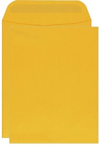 Columbian CO733 9x12-Inch Catalog Self-Seal Brown Kraft Envelopes, 250 Count