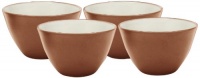 Noritake Colorwave Bowl, 4-Inch, Terra Cotta, Set of 4