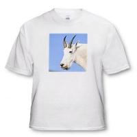 Mountain Goat Billy, Logan Pass, Glacier NP, Montana - US27 CHA1102 - Chuck Haney - White Infant Lap-Shoulder Tee (24M)