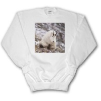 Billy Mountain Goats, Altyn Ridge, Glacier NP Montana - US27 CHA2586 - Chuck Haney - Adult SweatShirt Small