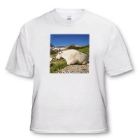 Mountain Goat Billy, Logan Pass, Glacier NP, Montana - US27 CHA1103 - Chuck Haney - White Infant Lap-Shoulder Tee (24M)