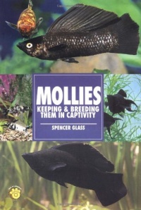 Mollies: Keeping & Breeding Them in Captivity