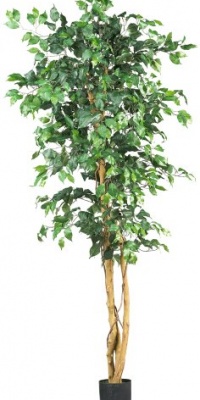 Nearly Natural 5209 Ficus Silk Tree, 6-Feet, Green