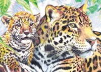 Royal & Langnickel Mini Colour Pencil By Number Kit: 5x7 Jaguar Family