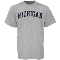 NCAA Michigan Wolverines Ash Vertical Arch Logo T-shirt