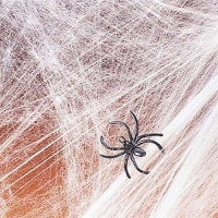 Spider Web Streachable white with (2) Spiders Pkg/1