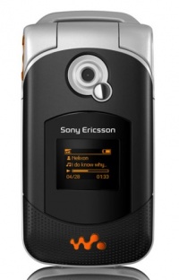 Sony Ericsson W300i Unlocked Cell Phone with MP3/Video Player, Memory Stick Micro Slot--International Version with Warranty (Shadow Black)