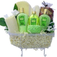 Art of Appreciation Gift Baskets   Essence of Jasmine Bathtub Spa, Bath and Body Set