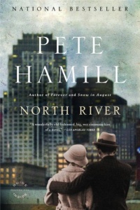 North River: A Novel