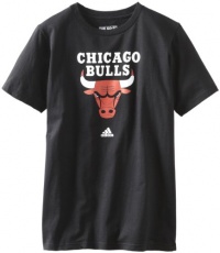 NBA Chicago Bulls Primary Logo T-Shirt