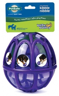 PetSafe Premier Busy Buddy Kibble Nibble Dog Toy