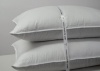 Royal Hotel's Goose Down Pillow - 1200 Thread Count Egyptian Cotton , King Size, Soft, Set of 2