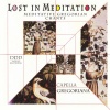 Lost in Meditation: Meditative Gregorian Chants