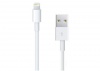 iXCC (TM) White 8-Pin Lightning Cable for Apple iPhone5, iPad4, iPad Mini, iPod Touch 5th Gen, iPod Nano 7th Gen