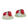 Lenox Butterfly Meadow Figurals Ladybug Salt and Pepper Set, 1-1/2-Inch