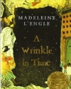 A Wrinkle in Time (Madeleine L'Engle's Time Quintet)