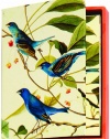 Metropolitan Museum of Art Boxed Note Cards, Audubon Birds (MN211)