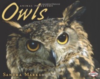 Owls (Animal Predators)