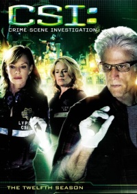 CSI: Crime Scene Investigation - The 12th Season