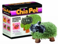 Chia Elephant