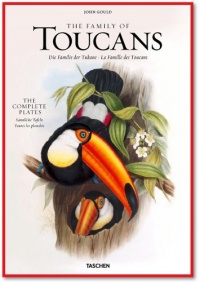 John Gould: Family of Toucans