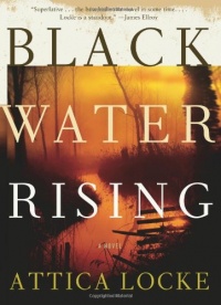 Black Water Rising: A Novel