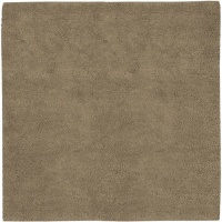 Area Rug 8x8 Square Shag Tan Color - Surya Aros Rug from RugPal