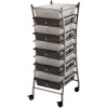 Blue Hills Studio 13-Inch by 38-Inch by 15-1/2-Inch by Frame Storage Cart with 10 Drawers, Clear/Smoke