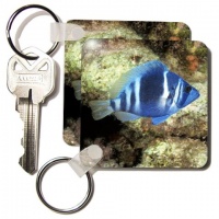 Indigo hamlet, Fish, Caribbean - NA02 MDE0024 - Michael DeFreitas - Set Of 2 Key Chains