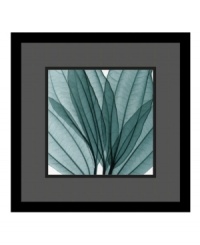 Using x-ray instead of light Steven Meyers has created an unusual print of leaves that highlights their hidden textures and subtle tones. Tastefully presented in a black wood frame that enhances the sea green of the leaves, it's ready to be displayed wherever you want a splash of natural color.